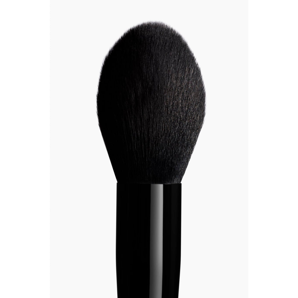 Chanel Pinceau Pounde N°106